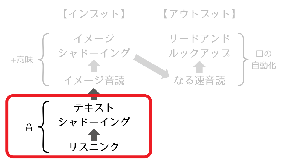 リスニングとテキストシャドーイングでは主に「音」に注目して学習した。