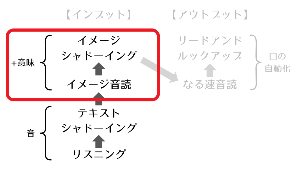 イメージシャドーイング、イメージ音読では、「意味（イメージ）」も追加して学習していく。