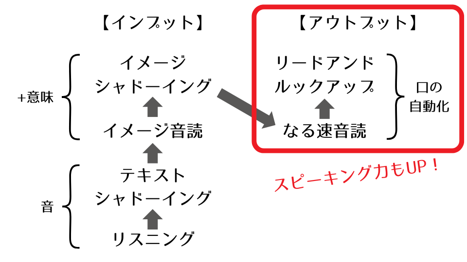 イメージシャドーイングに加えて、なる速音読とリードアンドルックアップを加えることで口の自動化を促し、アウトプット学習まで引き上げることができる。