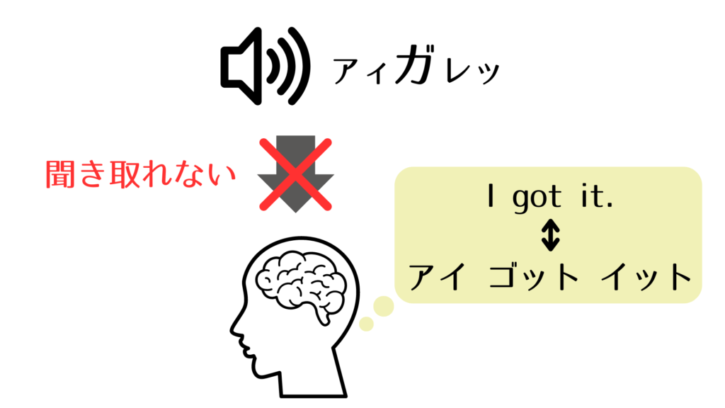 カタカナ発音が脳に染み付いていると誤った音を脳が記憶しているため、英語が聞き取れない。