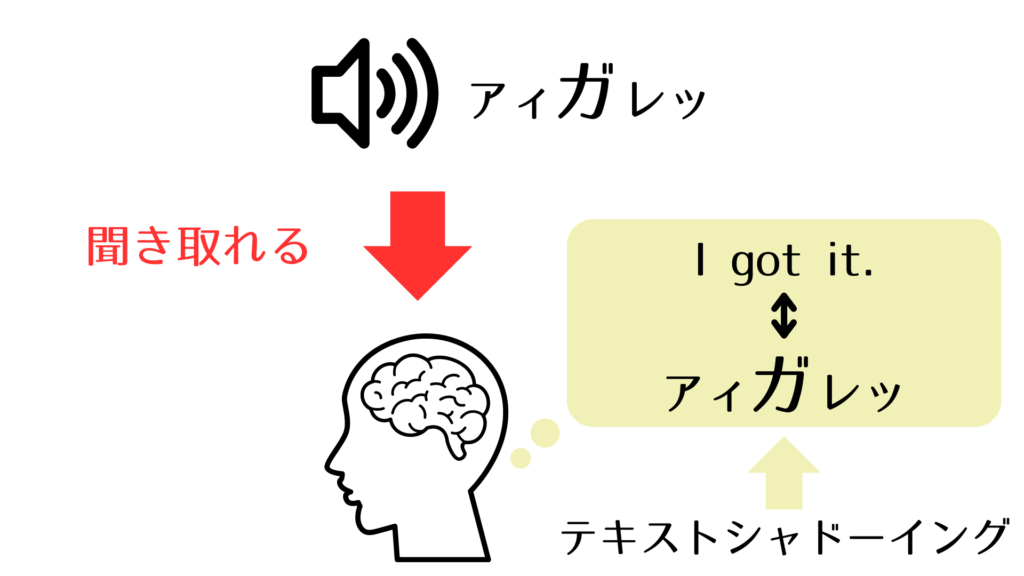 テキストシャドーイングでは「正しい音」と「文字」を結びつけることで英語を聞き取れるようになっていきます