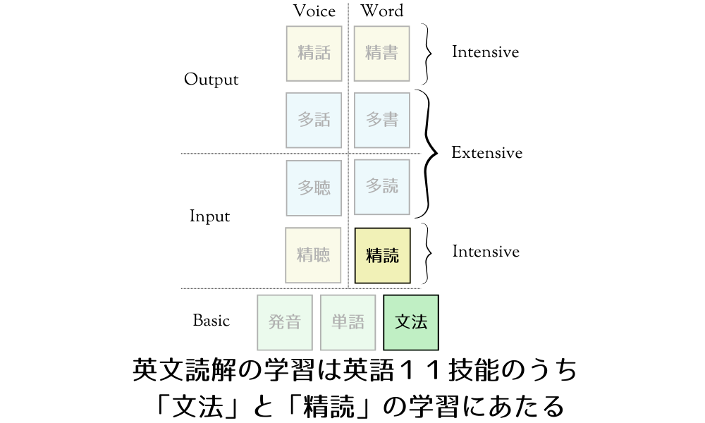 英文読解は英語１１技能のうち、文法と精読の学習にあたる